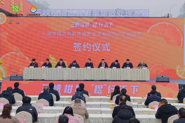 簽約合作。三峽柑橘集團供圖