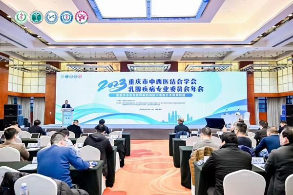 大會現場。主辦方供圖