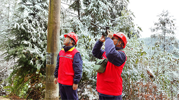 國家電網紅巖（墊江運檢）共產黨員服務隊對10千伏松山線牛頭支線開展線路特巡。王鵬攝