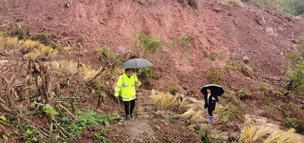 《守護者》（組圖）三。圖為11月9日，銅鼓鎮片區負責人趙祖群和水流村群測群防員王安然在兌窩子坪滑坡中心區域進行排查，持續監測地災隱患點，防止次生災害發生。劉勇攝