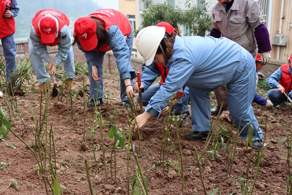 多形式開展義務植樹活動。川維化工公司供圖