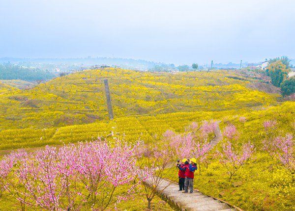 五間供電所員工在“桃花會”開展運維工作。國網重慶永川供電公司供圖