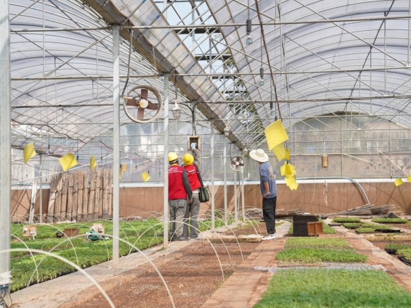 3月11日，國家電網紅巖（潼南營銷）共產黨員服務隊在重慶科光潼農種苗有限公司檢查苗圃線路安全用電隱患。李旭攝