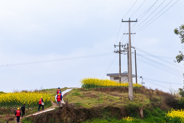 志愿者們開展聯合配電安全巡視。國網重慶永川供電公司供圖