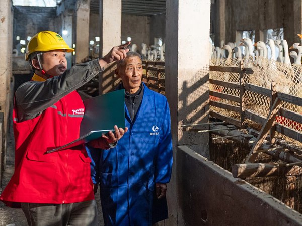 電力網格員對養殖場進行安全用電檢查。國網重慶永川供電公司供圖