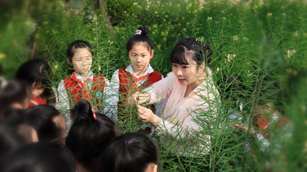 學生在實踐基地學習油菜花的相關知識。萬盛經開區福耀實驗學校供圖
