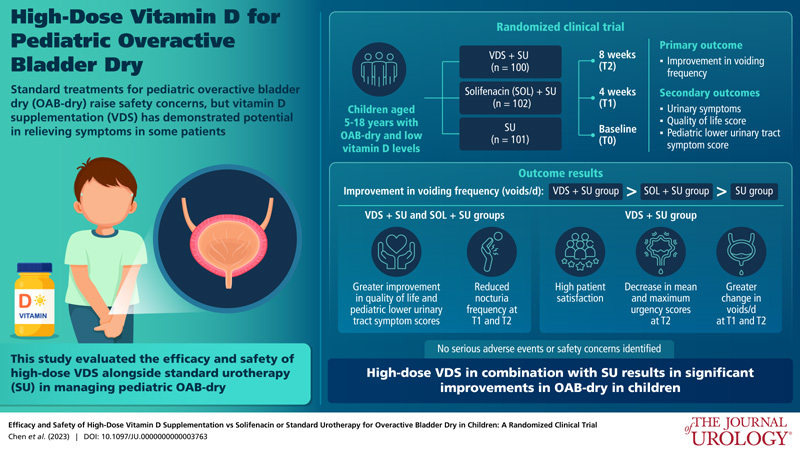 國際權威期刊《泌尿外科》發表劉星、魏光輝教授團隊研究成果。