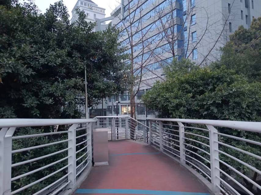 人行天橋上樹枝遮擋了路燈。網友供圖