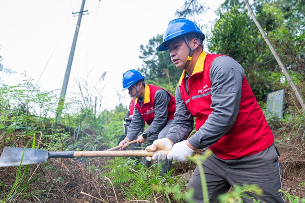 服務隊隊員對輸配電線路走廊內的樹木、灌木進行修剪。國網重慶永川供電公司供圖