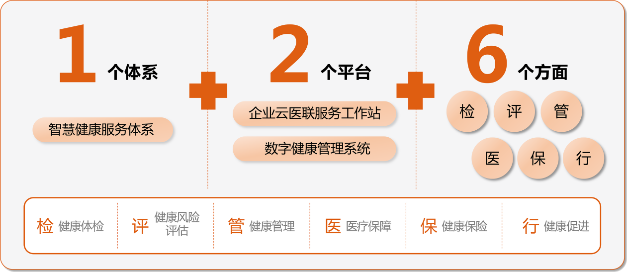 “1+2+6”資料圖。愛康集團重慶分公司供圖