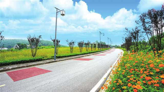 回龍壩村景觀路四季花開 攝/張成勇
