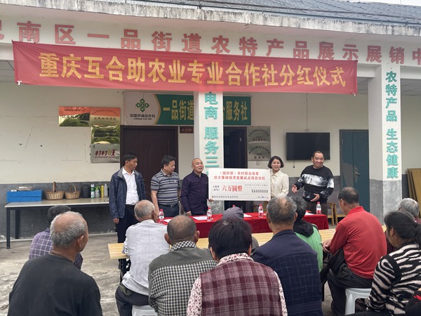 分紅現場。巴南區供銷社供圖