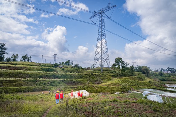 聯合行動隊伍巡視途經仙龍鎮的800千伏重要輸電通道。國網重慶永川供電公司供圖
