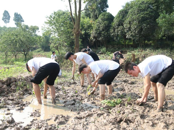 學校智能制造學院開展“三下鄉”種空心菜助農實踐活動。重慶工貿職業技術學院供圖