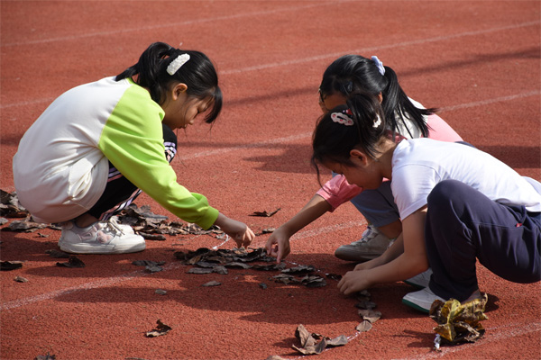 制作大地景觀。西南大學供圖