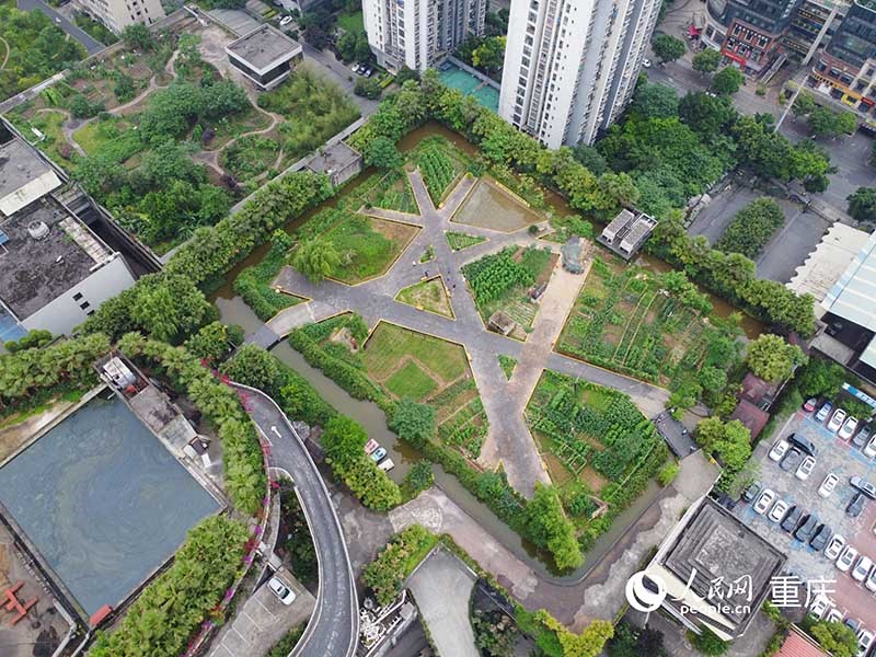 “樓頂農場”位于30余米高的樓頂。 人民網記者 劉祎攝