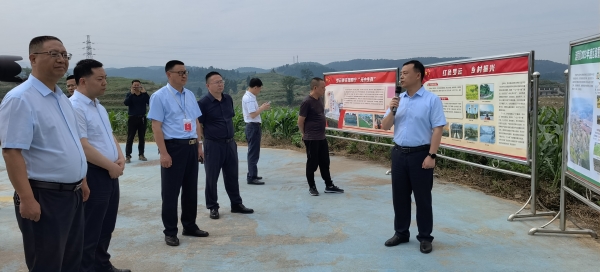 涪陵：監督推動實事辦實 “市民觀察團”來了