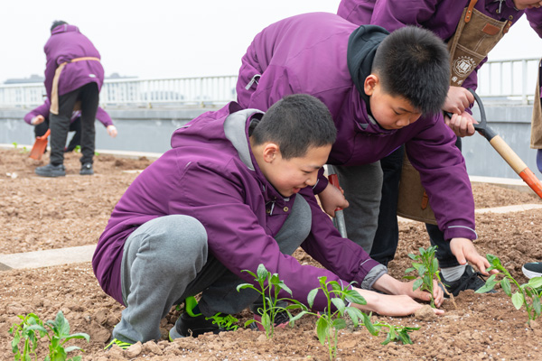 種植課程。南開兩江中學供圖