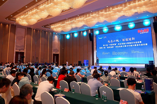 比賽現場。主辦方供圖