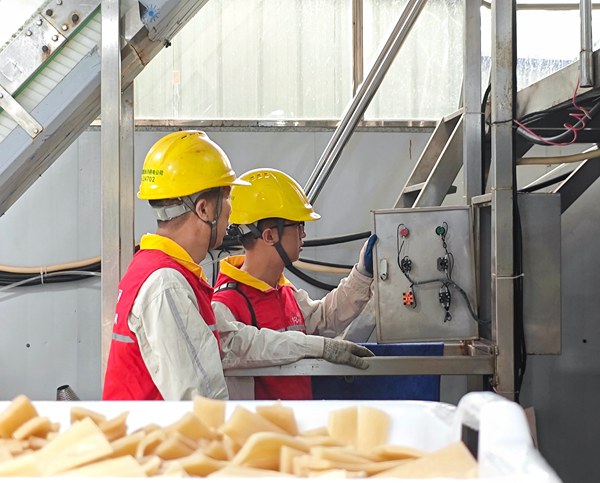 電力員工排查粉條生產線設備的用電情況。國網重慶永川供電公司供圖