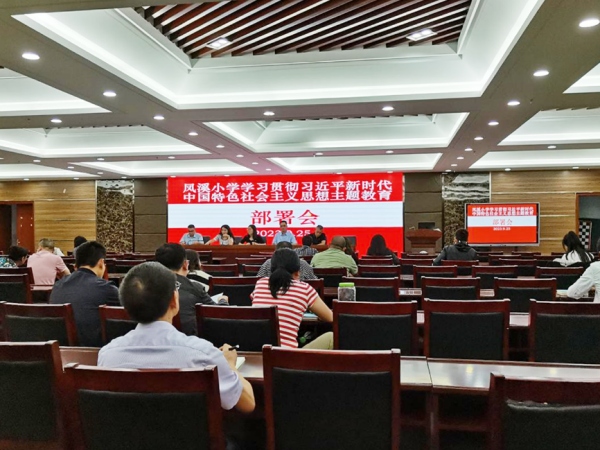 主題黨日。武隆區鳳溪小學供圖