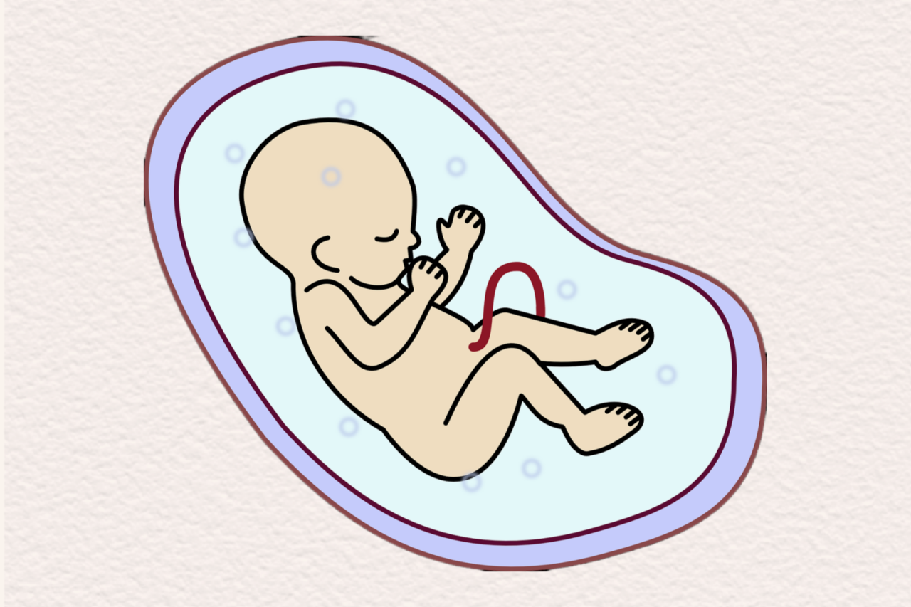 胎兒。重慶松山醫院供圖