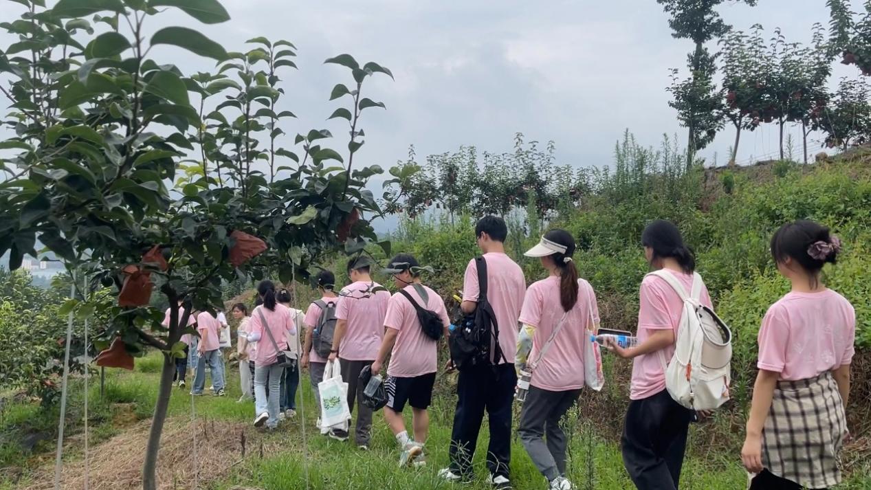 實踐團成員們走訪村莊。重慶財經學院供圖