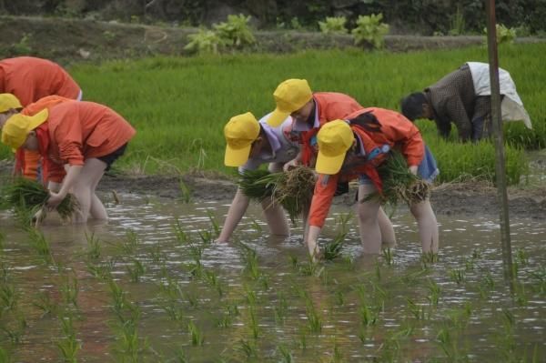勞育課程。重慶市南川區隆化第五小學校供圖