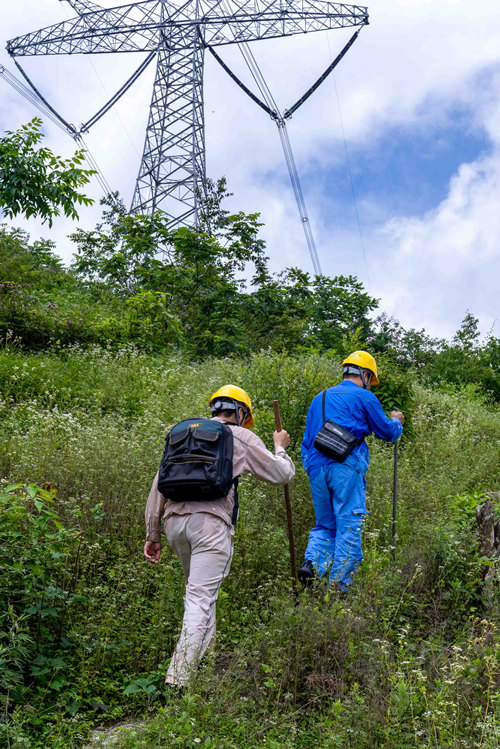 李相如和向守志前往巡視點的路上。國網重慶超高壓公司供圖