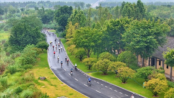 比賽現場。組委會供圖