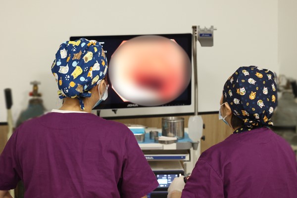 護士為患者做腸鏡檢查。重慶東大肛腸醫院供圖