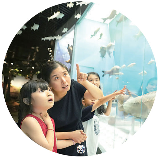 重慶自然博物館內，觀眾正在參觀。秦廷富攝