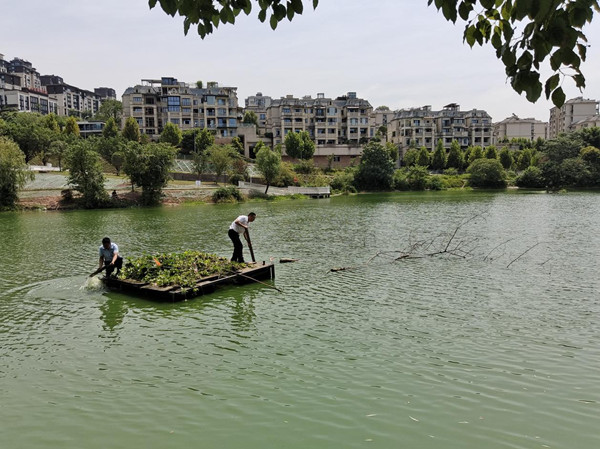 金科服務人正在清理河面。金科服務供圖