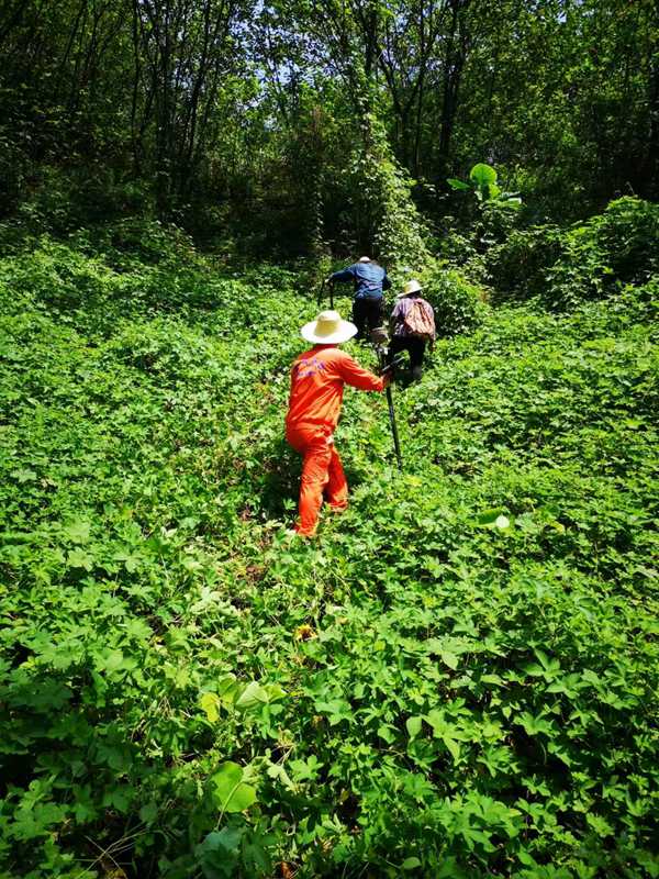 重慶燃氣集團工作人員進行山火防控巡檢工作。重慶燃氣集團供圖