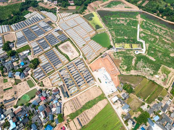 榮昌區吳家鎮雙流村的大棚蔬菜基地。國網重慶永川供電公司供圖