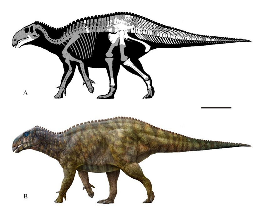 長生黔江龍復原圖。重慶市規劃和自然資源局供圖