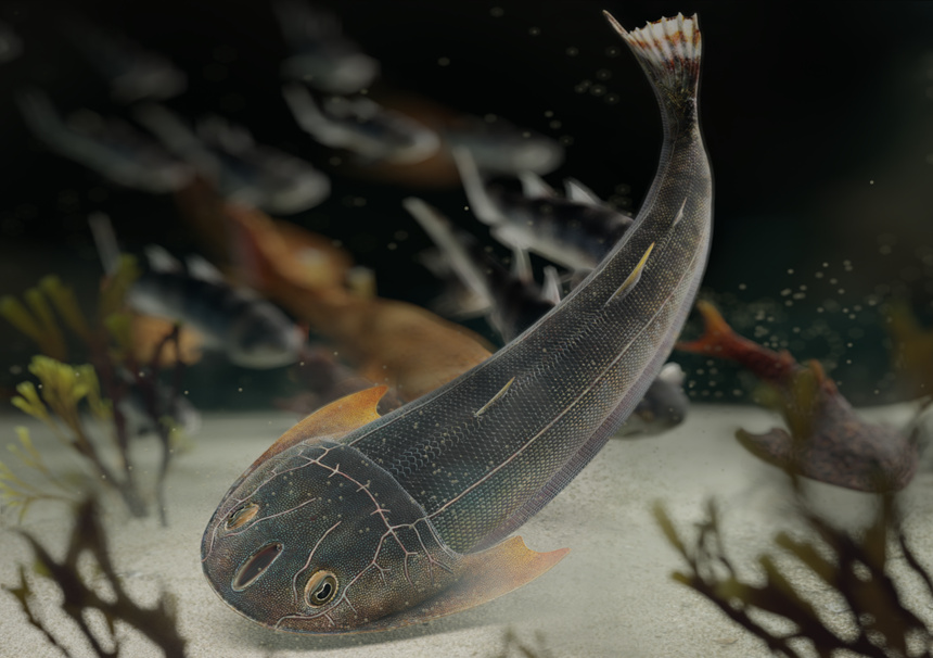 雙叉苗家魚生態復原圖，背景為重慶特異埋藏化石庫奇跡秀山魚、蠕紋沈氏棘魚和靈動土家魚（擬石科技制圖）。重慶市規劃和自然資源局供圖