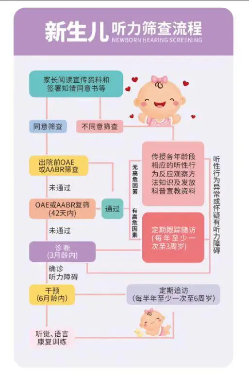 新生兒聽力篩查流程圖。受訪者供圖