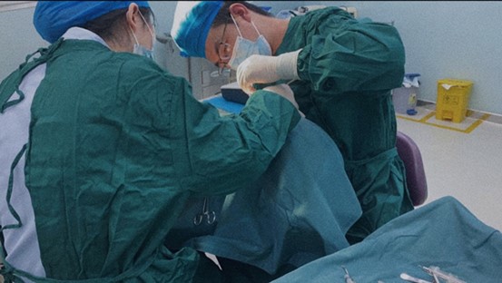 楊來渝進行手術操作。泰康拜博口腔供圖