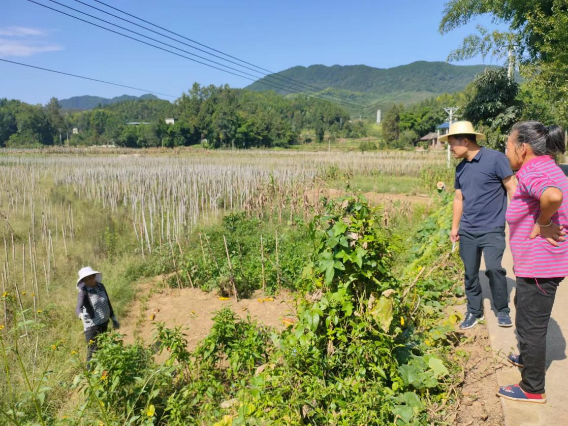 周鄭（右二）走訪群眾收集意見。黃亞輝攝