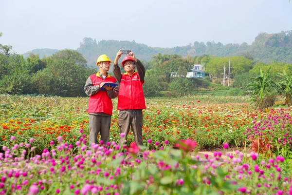 電力員工對配電線路進行巡檢。國網重慶永川供電公司供圖