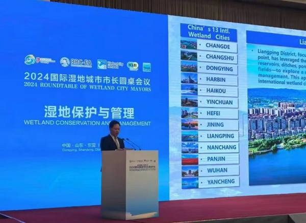 重慶市梁平區委書記錢建超在會上進行經驗分享。梁平區委宣傳部供圖