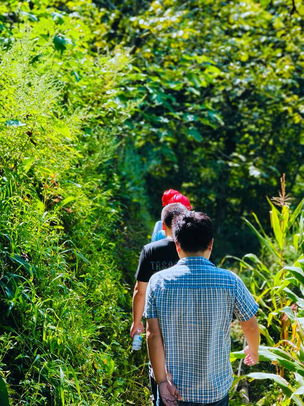 《背影》。8月29日，川東南勘察公司地災防治事業部技術負責人謝應坤及駐守地質工程師楊彬、王森林、劉英劍到城口縣厚坪鄉龍盤村地災隱患點實地晨巡。孫煜攝