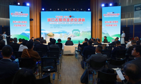 活動現場。主辦方供圖