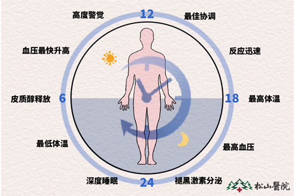 24小睡眠生理周期。重慶松山醫院供圖