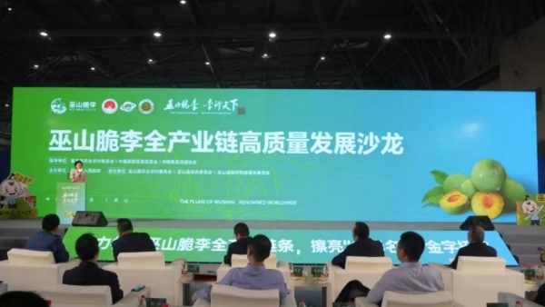 活動現場。主辦方供圖