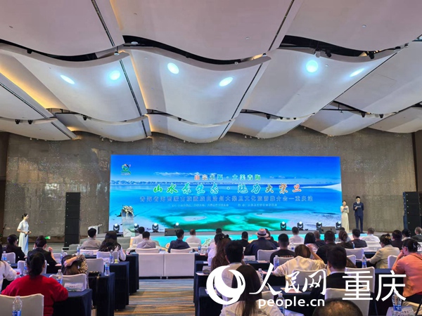 推介會現場。人民網記者 馮文彥攝