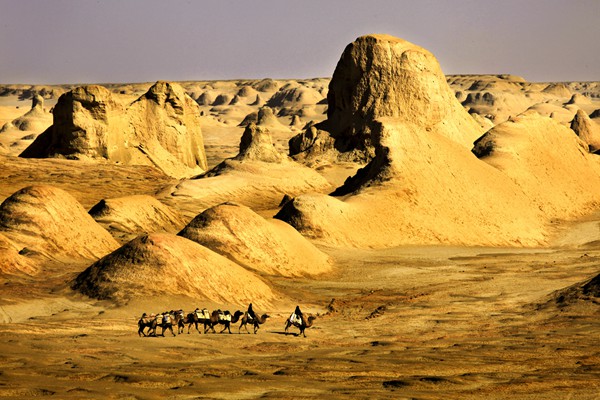 大柴旦風光。主辦方供圖