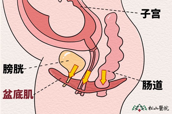 示意圖。重慶松山醫院供圖