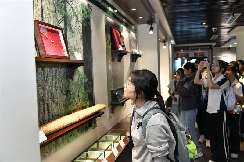 師生們參觀各類中藥材標本。唐志勇攝